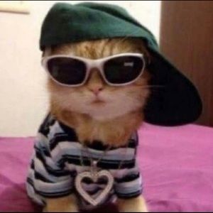 Meet your Posher, Annye